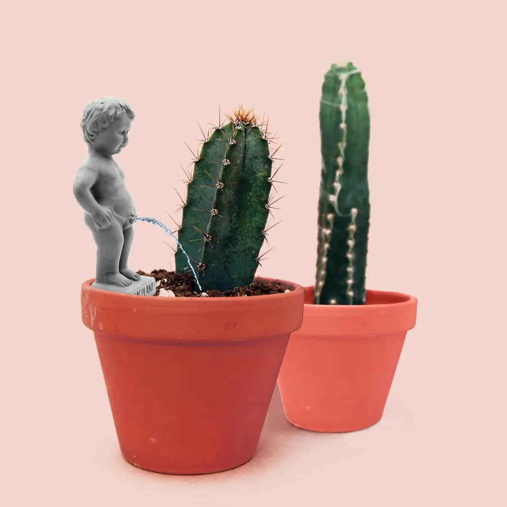 NPW Plant Life Watering Decoration - Pee My Plants