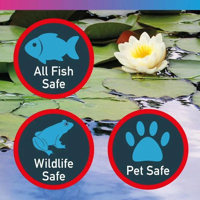 NT LABS Pond Blanketweed Balance 400g