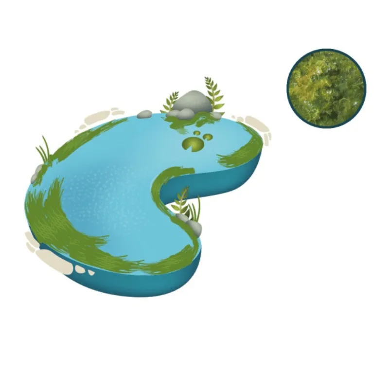 NT LABS Pond Blanketweed Balance 400g