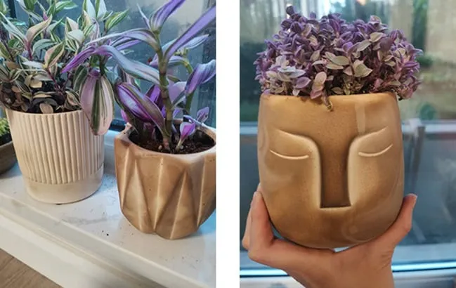Pandora Set of 4 - Handmade Plant Pot In/Outdoor Beige