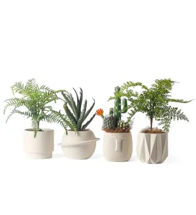 Pandora Set of 4 - Handmade Plant Pot In/Outdoor Beige