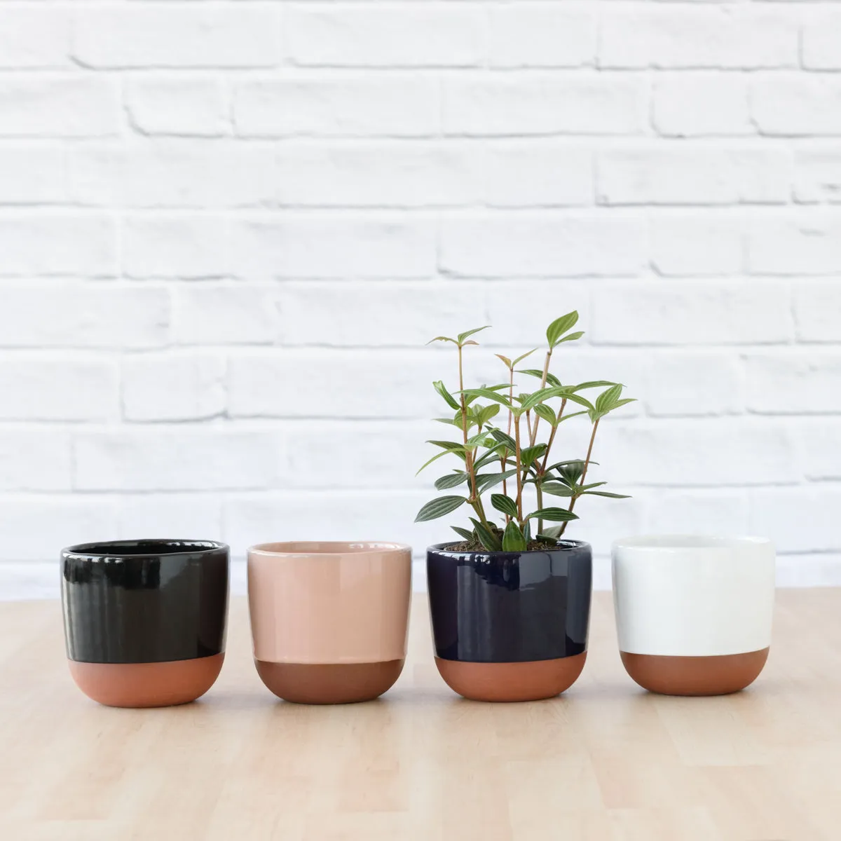 Pluto Planter - Pink