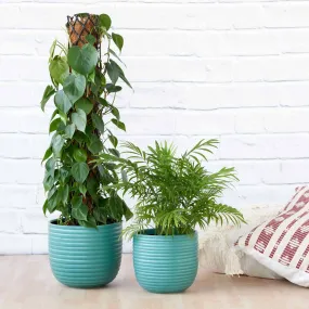 Poodle Planter - Teal Blue