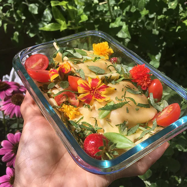 Purslane Cuttings