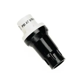Raindrip 45200UB Professional Pressure Regulator