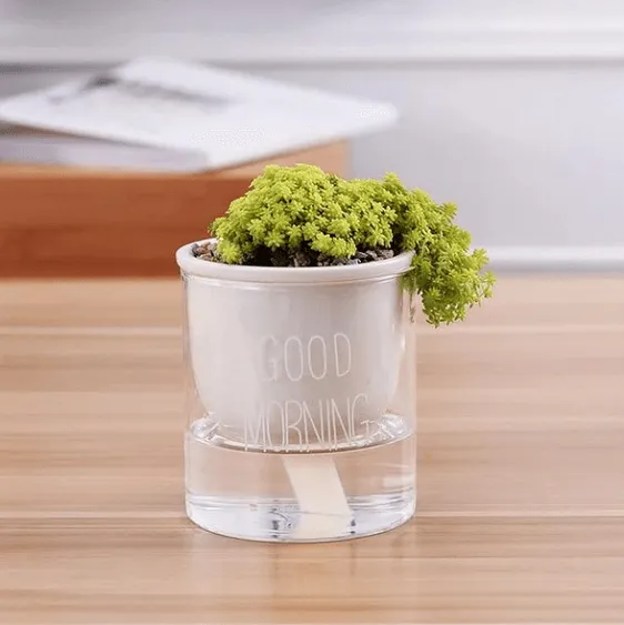 Shuka - Automatic Watering Ceramic Planter Pot