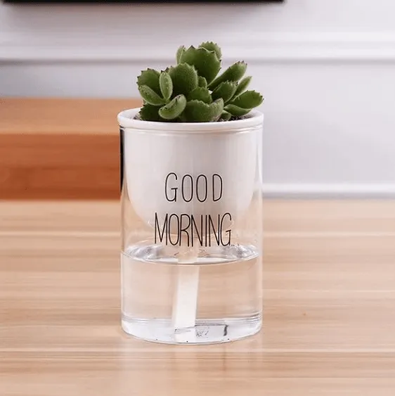 Shuka - Automatic Watering Ceramic Planter Pot
