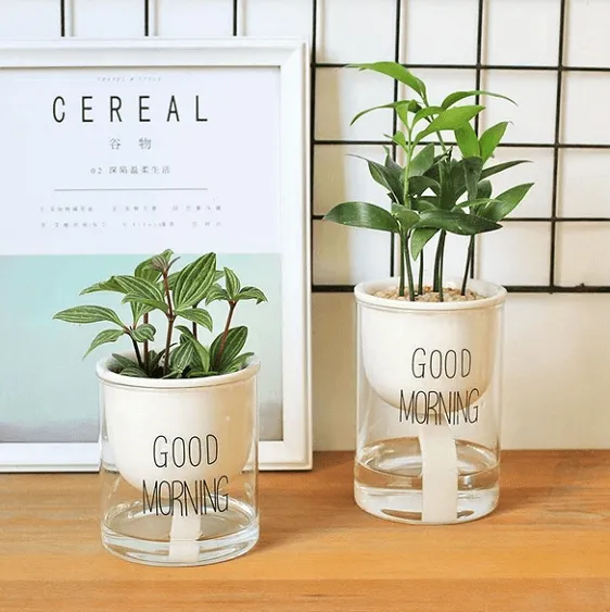 Shuka - Automatic Watering Ceramic Planter Pot