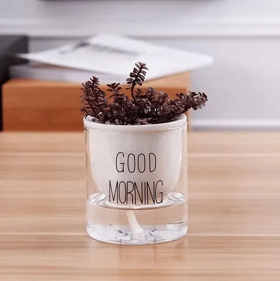 Shuka - Automatic Watering Ceramic Planter Pot