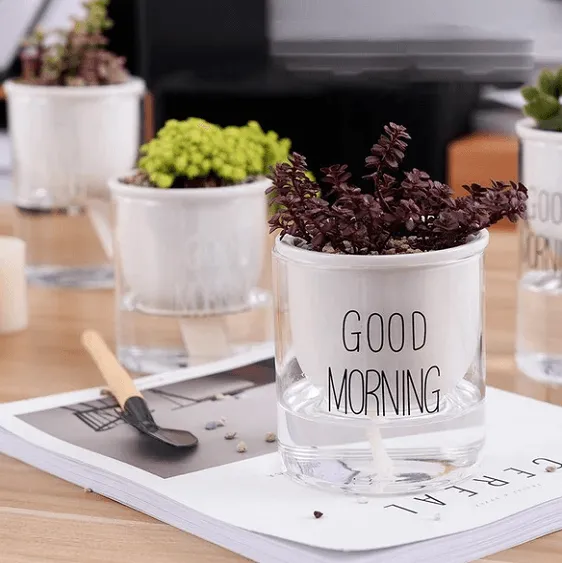 Shuka - Automatic Watering Ceramic Planter Pot
