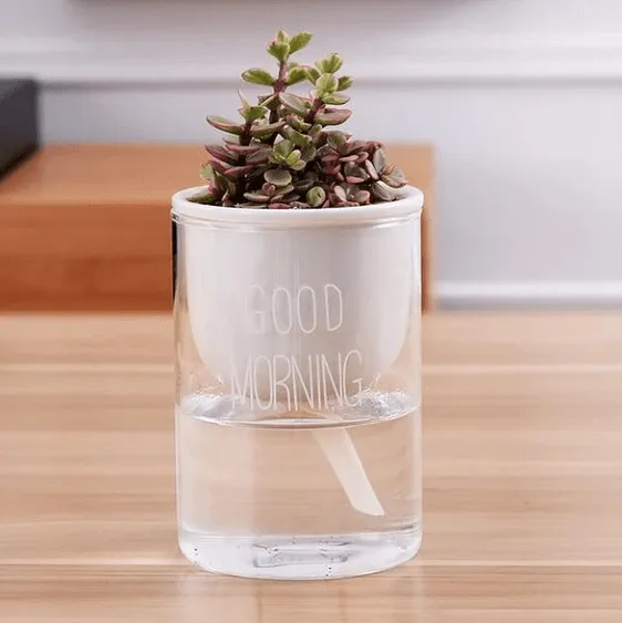 Shuka - Automatic Watering Ceramic Planter Pot