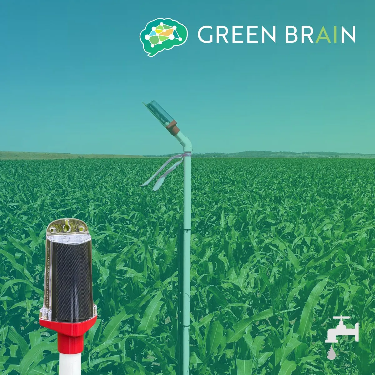 Soil Moisture Monitoring Site (Field)
