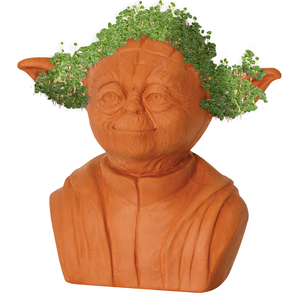 STAR WARS™ YODA CHIA PET