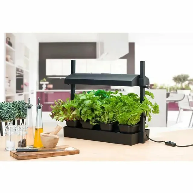 SunBlaster T5HO Micro Grow Light Garden, Black