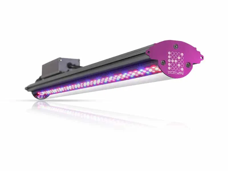 SuperCloset SuperBox LED Smart Grow Box