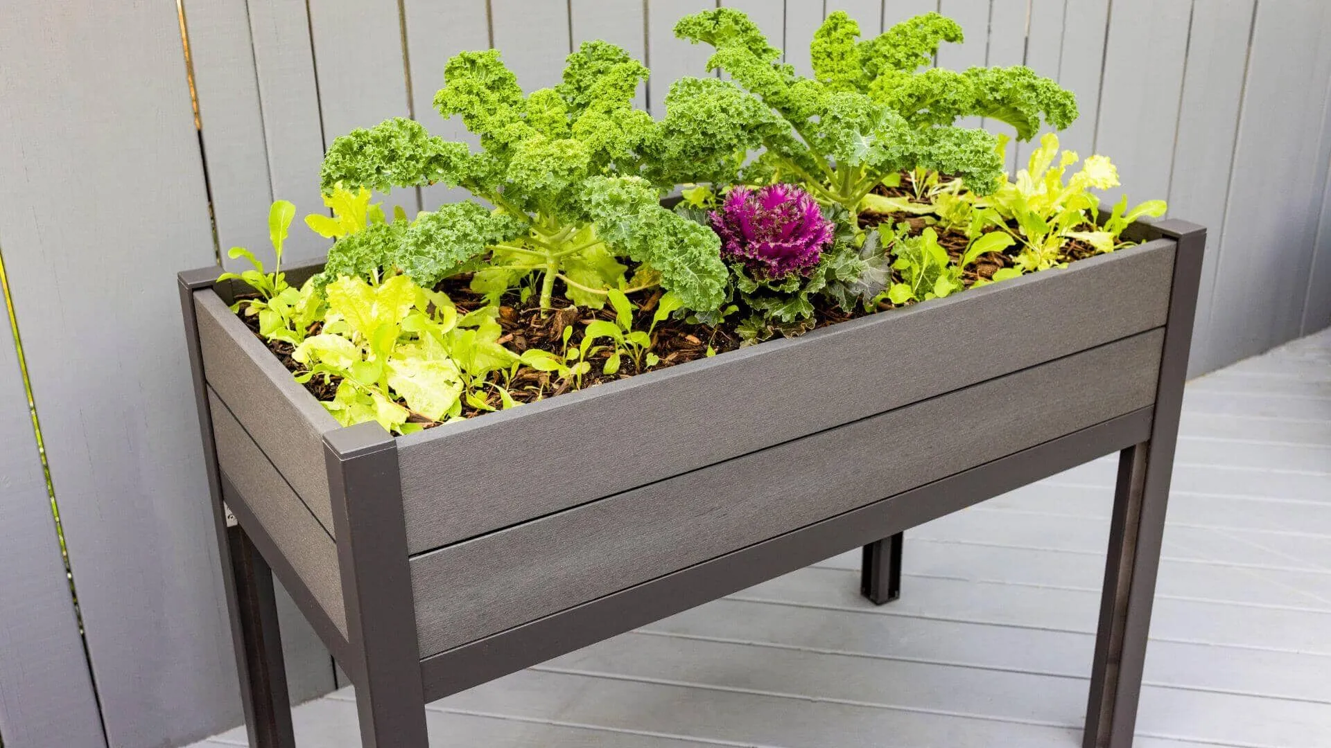 The Elevated Escape (24” x 48” x 34.5”) Elevated Garden Bed