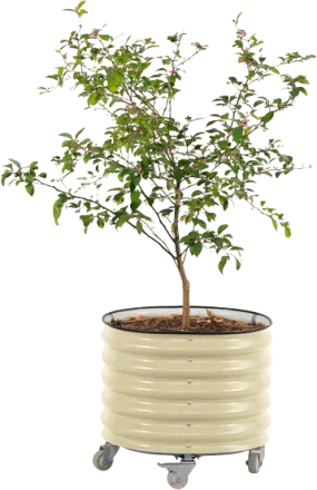 Vego Garden Self-Watering Rolling Planter 2' x 2' New