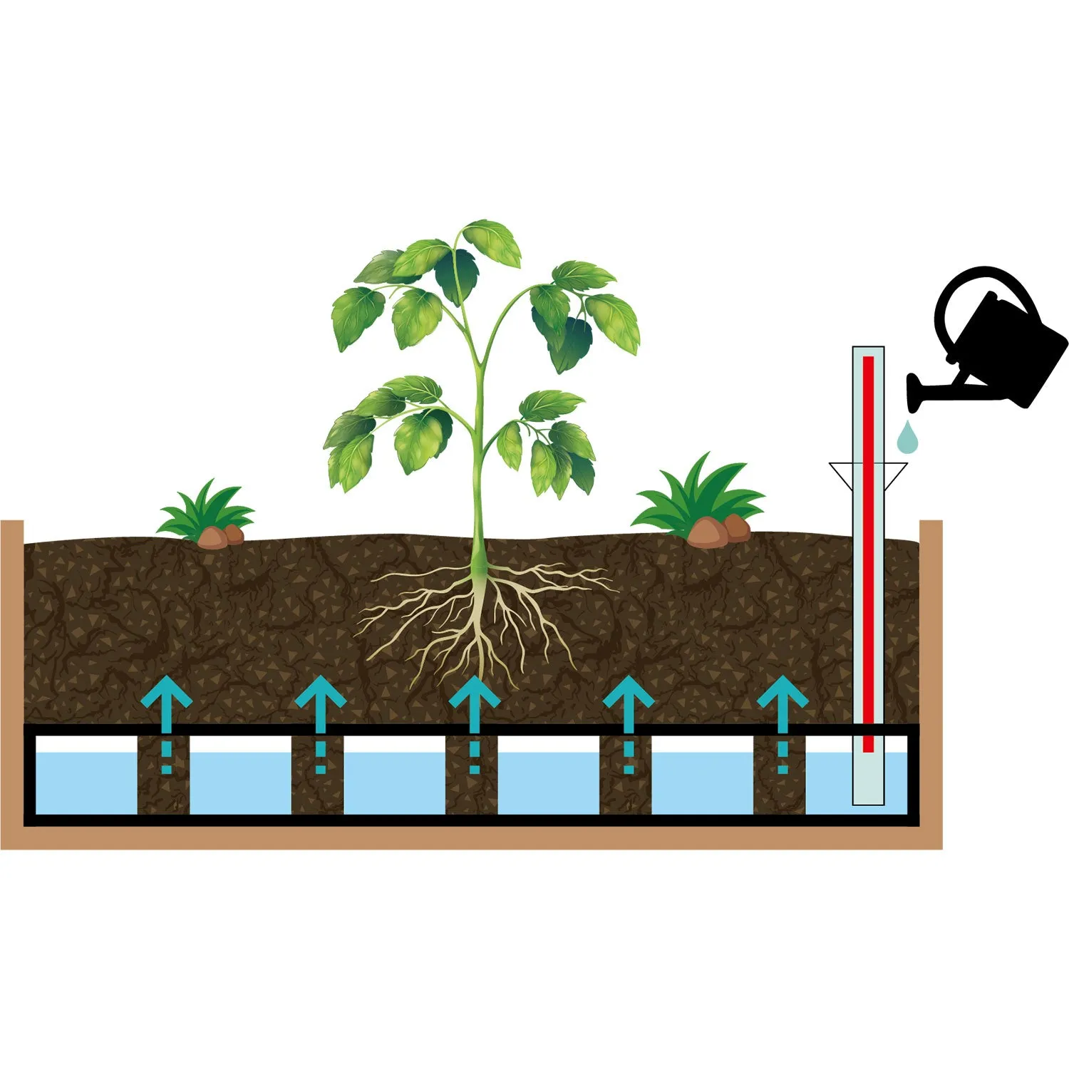 Vegtrug Classic Self Watering Kit