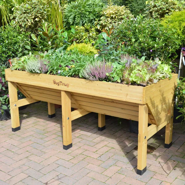 VegTrug Classic