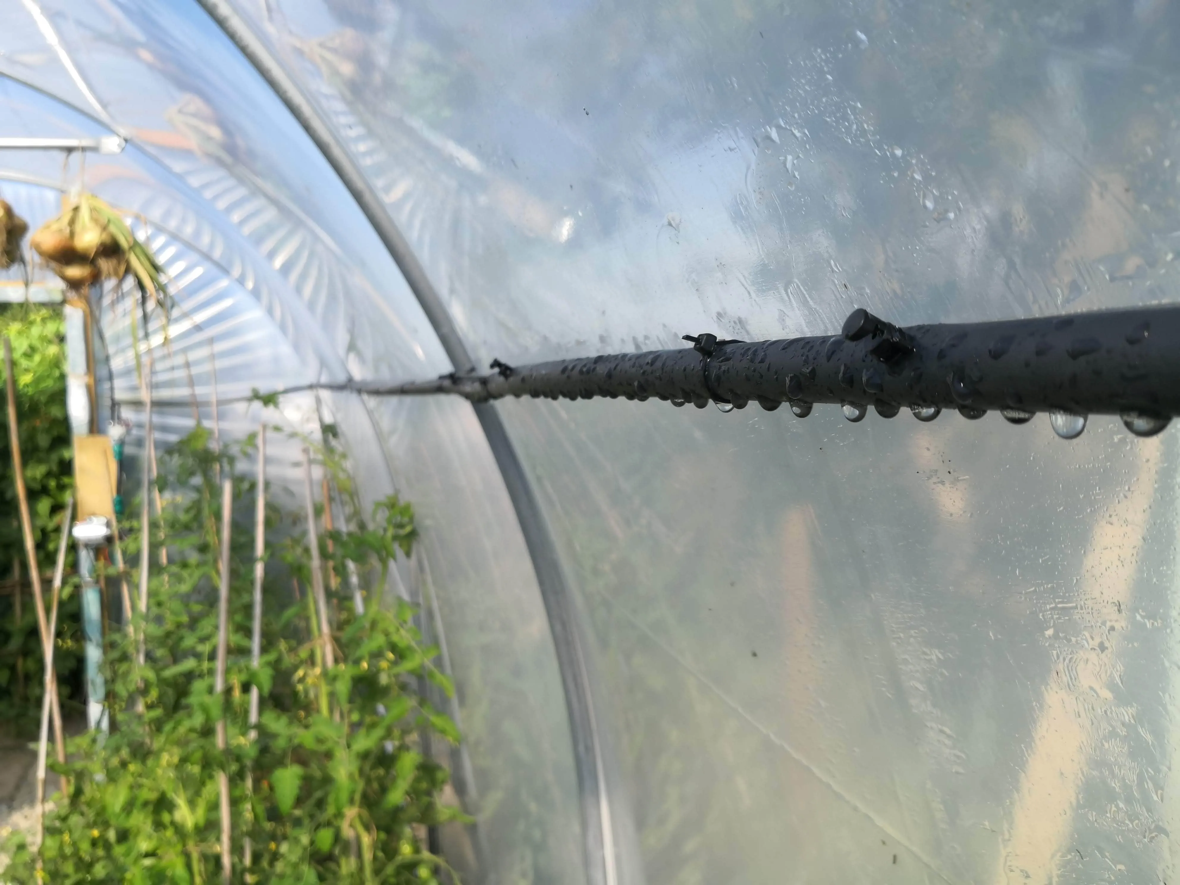 WaterMate Pro Automatic Greenhouse & Polytunnel Watering Kit