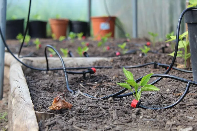 WaterMate Pro Automatic Greenhouse & Polytunnel Watering Kit