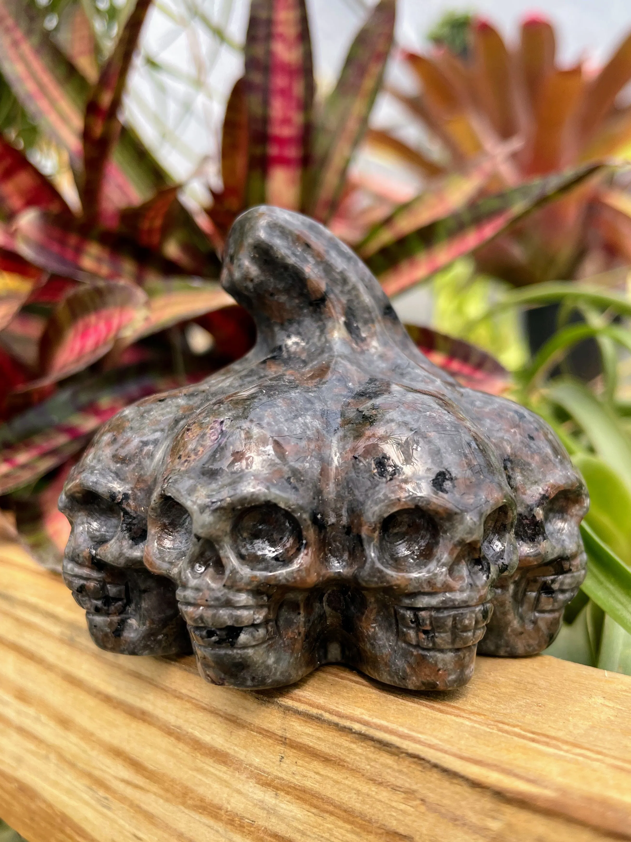 Yooperlite Pumpkin Skull Crystal Carving